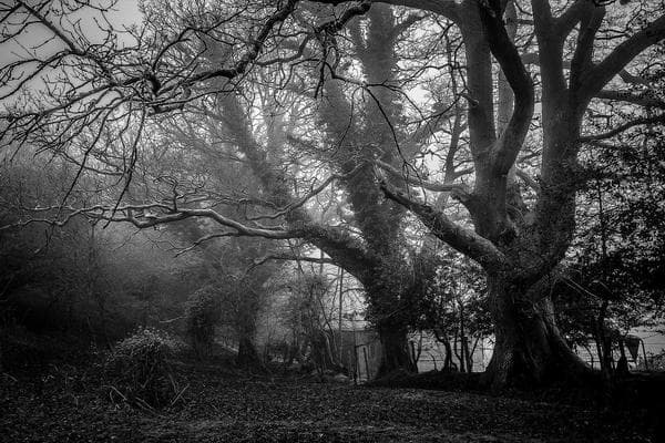 498 Gerry Murphy Dr