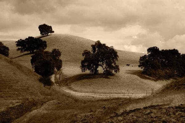 4018 Lanky Crt