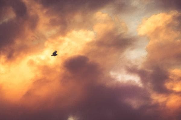 104 — 7543 Lanky Crt